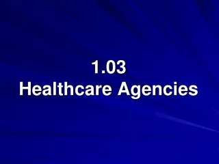 1.03  Healthcare Agencies
