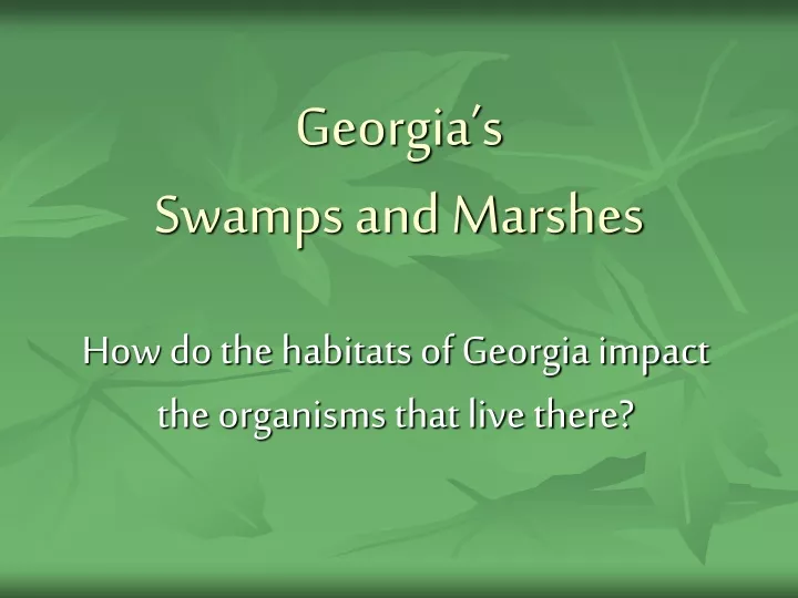 georgia s swamps and marshes