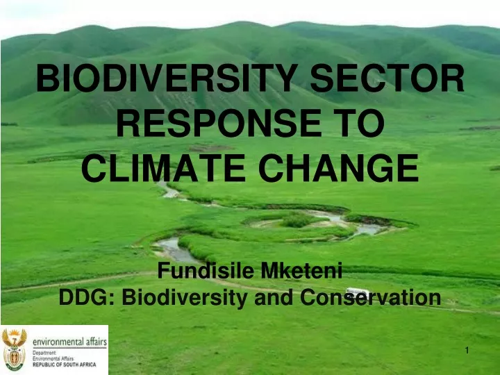 biodiversity sector response to climate change fundisile mketeni ddg biodiversity and conservation