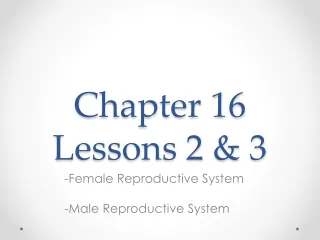 Chapter 16  Lessons 2 &amp; 3