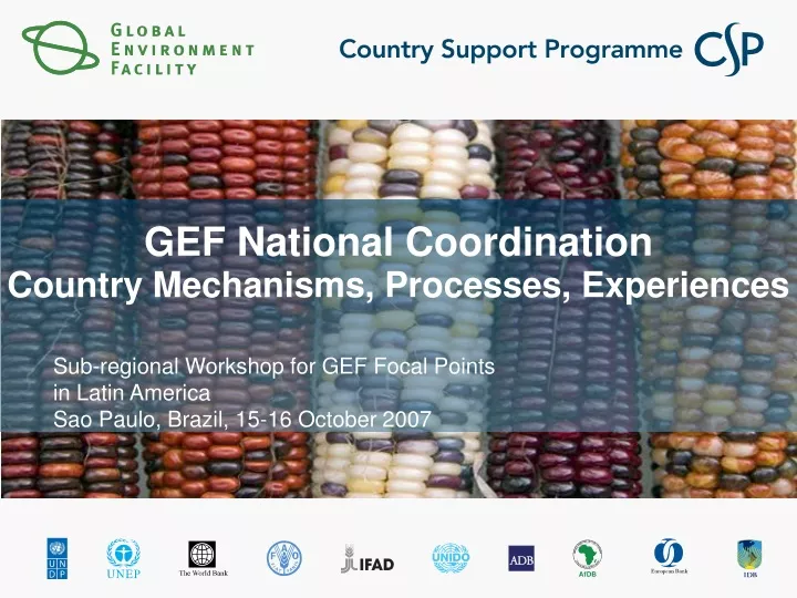 gef national coordination country mechanisms processes experiences