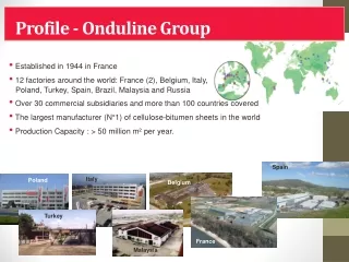 Profile - Onduline Group