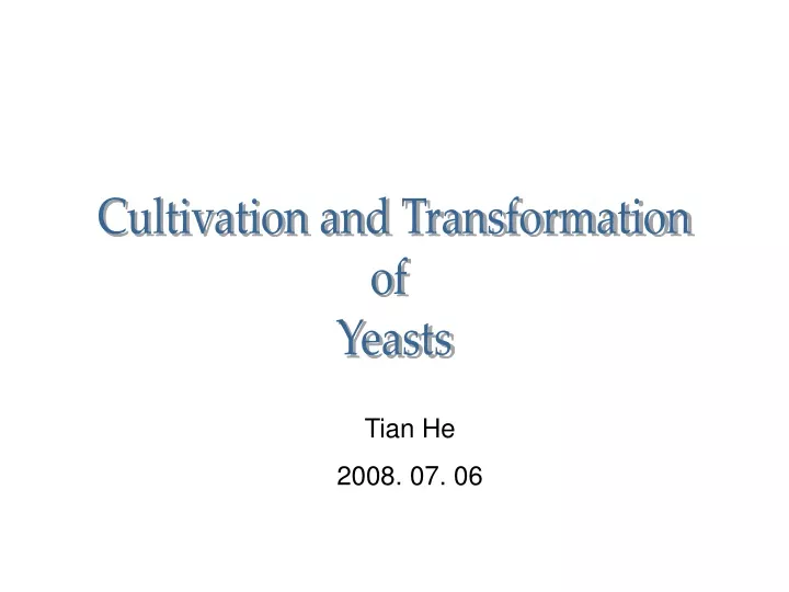 cultivation and transformation of yeasts