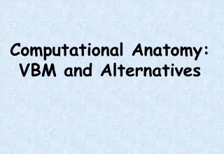 Computational Anatomy: VBM and Alternatives