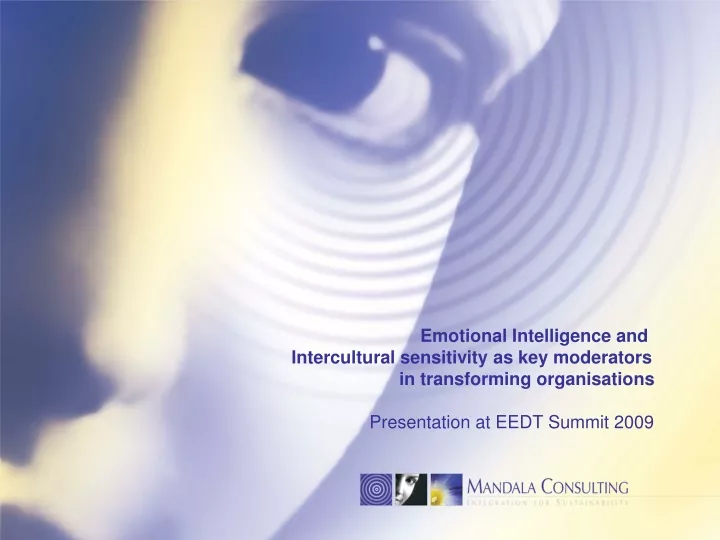 emotional intelligence and intercultural