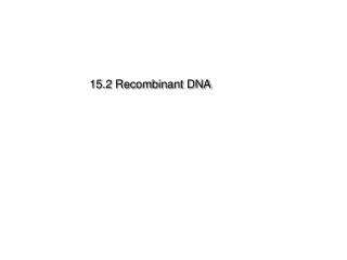 15.2 Recombinant DNA