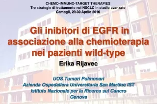 Gli inibitori  di EGFR in  associazione alla chemioterapia nei pazienti  wild-type