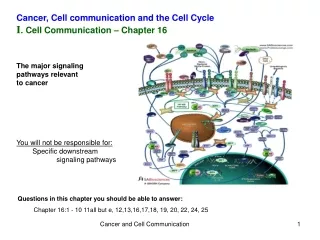 Cancer, Cell communication and the Cell Cycle I . Cell Communication – Chapter 16