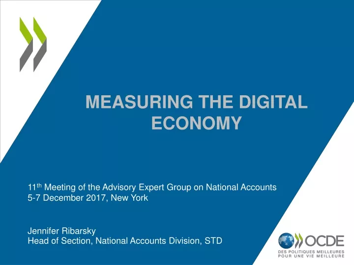 measuring the digital economy