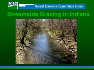 Streamside Grazing in Indiana