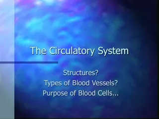 The Circulatory System