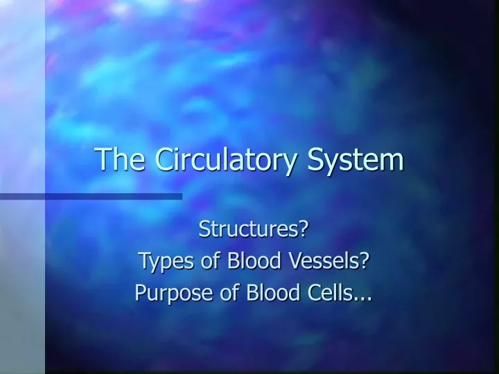 the circulatory system