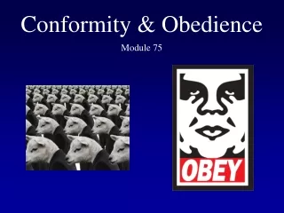 Conformity &amp; Obedience