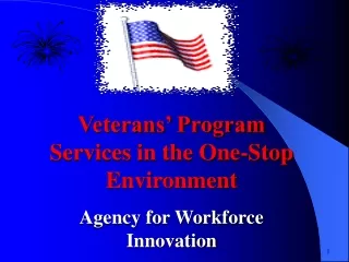 Veterans’ Program Services in the One-Stop Environment Agency for Workforce Innovation