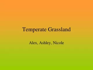Temperate Grassland