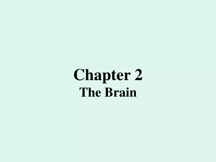 chapter 2 the brain