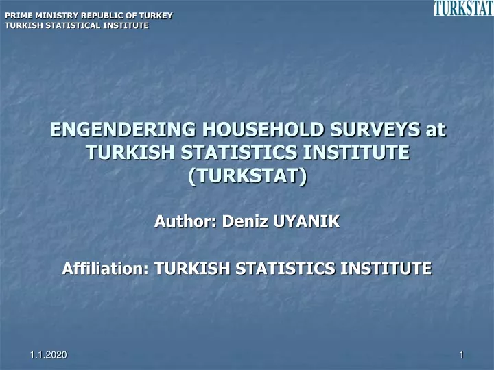 e ngendering household surveys at turkish statistics institute turkstat