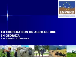 EU COOPERATION ON AGRICULTURE  IN GEORGIA Juan Echanove .EU Delegation
