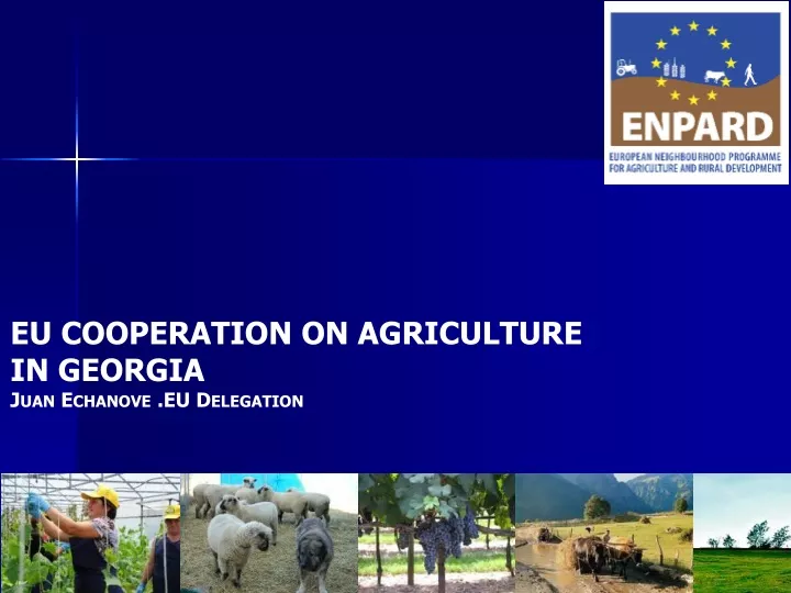 eu cooperation on agriculture in georgia juan