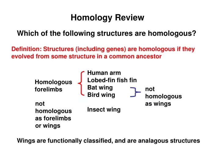 homology review