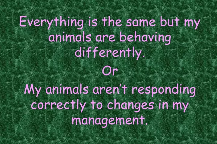 everything is the same but my animals