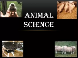 Animal  SCience