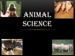 Animal  SCience - slide 1