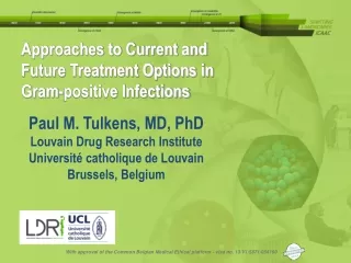 Approaches to Current and Future Treatment Options in Gram-positive Infections