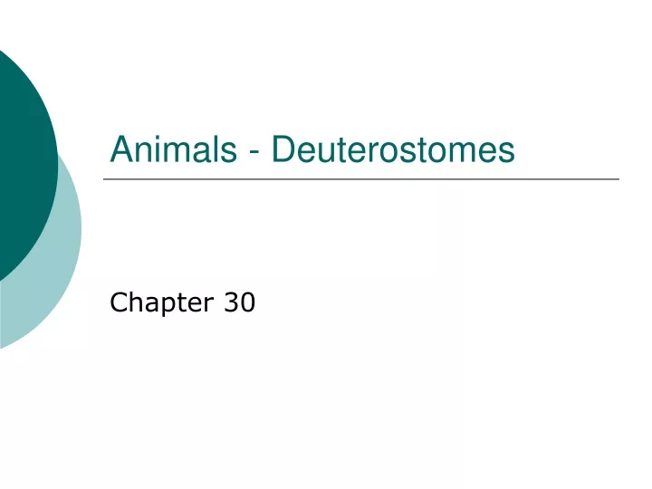 animals deuterostomes
