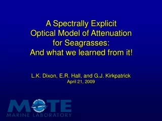 A Spectrally Explicit  Optical Model of Attenuation  for Seagrasses: And what we learned from it!