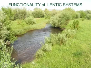 FUNCTIONALITY of  LENTIC SYSTEMS