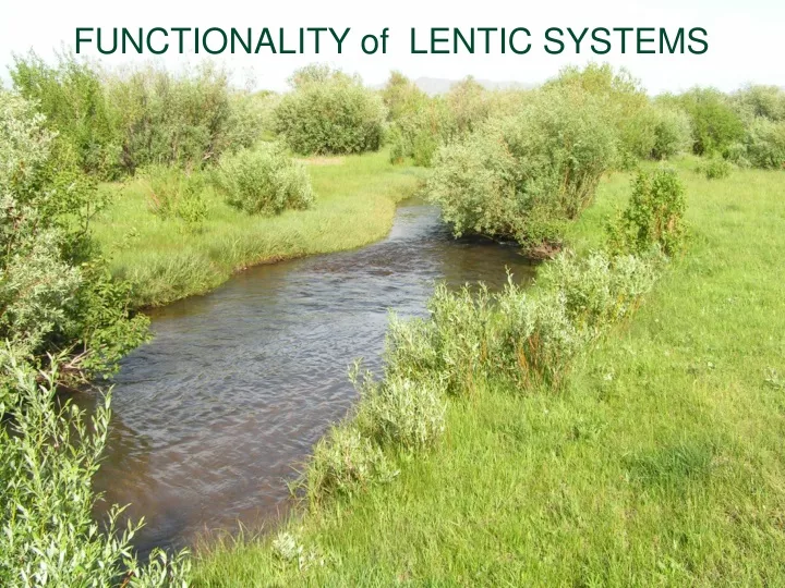 functionality of lentic systems