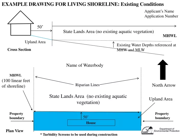 example drawing for living shoreline existing