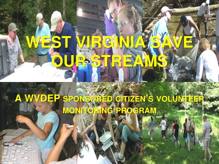 west virginia save our streams