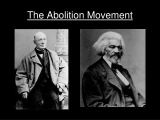 The Abolition Movement