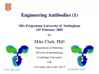 Engineering Antibodies (1) MSc Programme University of  Nottingham 14 th  February 2005