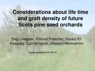 Considerations about life time and graft density of future Scots pine seed orchards