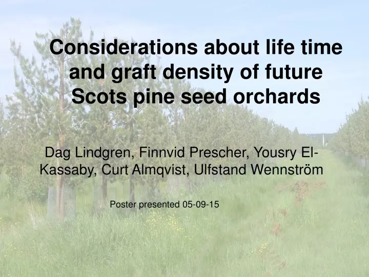 considerations about life time and graft density of future scots pine seed orchards