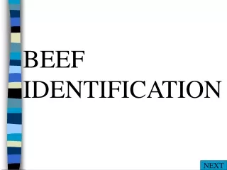BEEF IDENTIFICATION