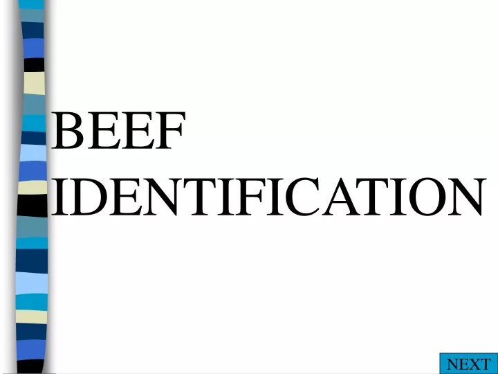 beef identification
