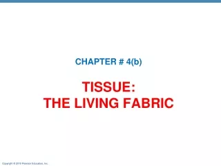 TISSUE:  THE LIVING FABRIC