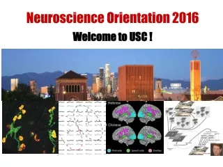 Neuroscience Orientation 2016 Welcome to USC ! Welcome to USC !