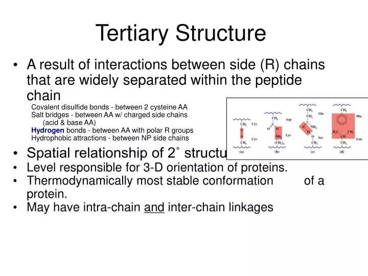 tertiary structure