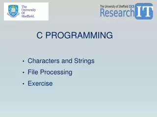 Characters and Strings File Processing Exercise