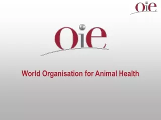 World Organisation for Animal Health