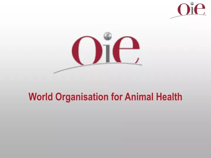 world organisation for animal health
