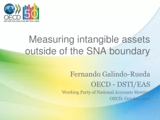 Measuring intangible assets outside of the SNA boundary