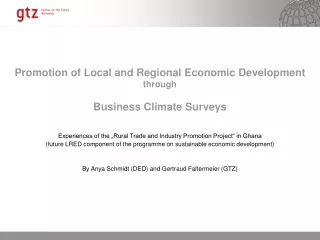 Promotion of Local and Regional Economic Development through Business Climate Surveys