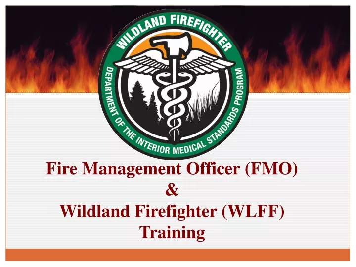 fire management officer fmo wildland firefighter wlff training
