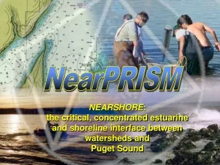 NEARSHORE :  the critical, concentrated estuarine and shoreline interface between watersheds and